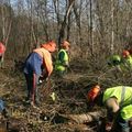 Gestion de la forêt