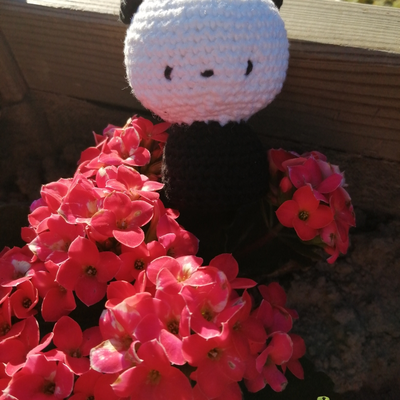 Drôle de ménagerie...