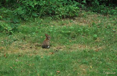 Rencontre innatendue