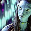 Avatar :La dimension 3D ,volume et relief