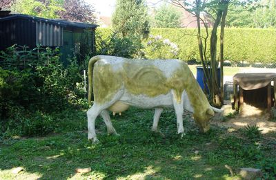 Chez Narcisse Godet, nouvelle galerie en forme de bestiaire