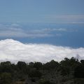 La tête dans les nuages