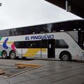 Insolite en Argentine : c'est quoi cette obsession des conducteurs de bus avec les films de Stallone ???‏