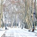 UN PEU DE FRAICHEUR DANS ISTANBUL