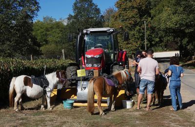 chalain  d'Uzore 42  23 09 2018  rencontres à la ferme des BORNES