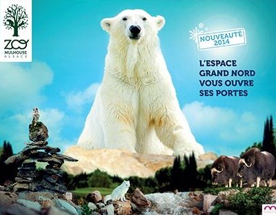 Ouverture de l'espace "Grand Nord" au Zoo de Mulhouse