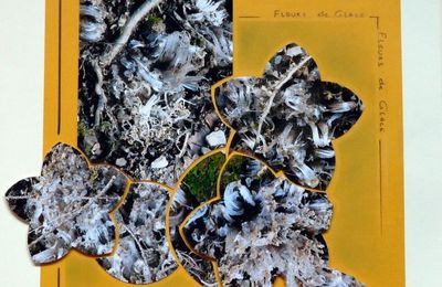 Bütgenbach - fin de la balade autour du lac et du séjour