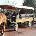 Les Cavaliers de Caval'Prade animent le village