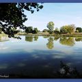 L'Etang de SAINT JEAN DE LIER (40)...