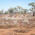 Cairns à Alice Springs