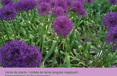 Bientôt aux jardins !