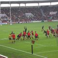 STADE TOULOUSAIN-TOULON... ou le match de la