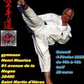 Stage de karaté avec sensei Lavorato le 4 février 2023 -St Martin d'hères