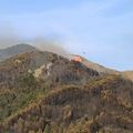 Feu de forêt en Corse