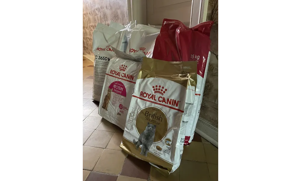 [GRIF' Abrite] Merci à nos marraines si précieuses!