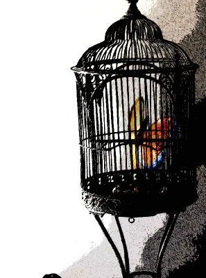 Cage au papillon