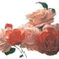 gif rose 