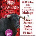 Saint-Gilles "La fiesta Toros y flamenco c'est dimanche 25 octobre"