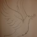 Une colombe pour la paix