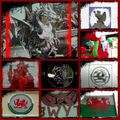 Mosaïque pour dragonphiles