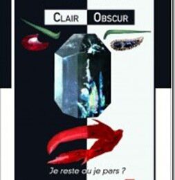 Clair Obscur - Sylvie Claudepierre