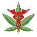 Le cannabis à usage médical