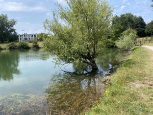 De la nature avant tout