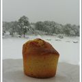 MUFFIN AU CITRON SOUS LA NEIGE