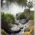 Petite Cascade au jardin des Plantes d'Angers... 