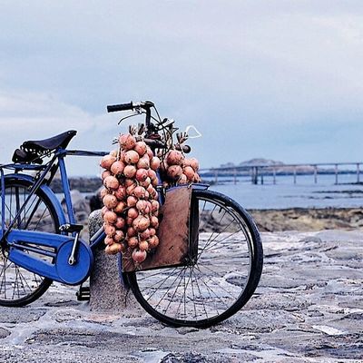 Plaquette informative