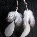 B.O. plumes noires & blanches