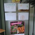 Exposition de dessins sur le thème de Manger durable 