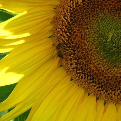 auvergne, toujours ... (5)