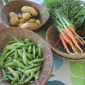 Une jardinière de légumes !!!