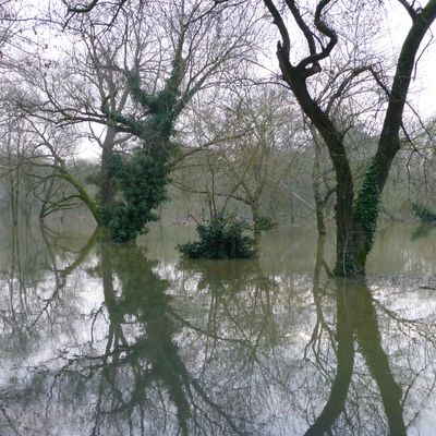 La Loire déborde