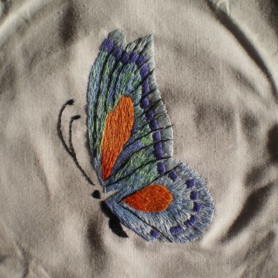 Ambiance "PAPILLON VOLE"