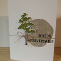 Carte anniversaire 