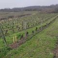 Visite au domaine Henri Chauvet à Boudes