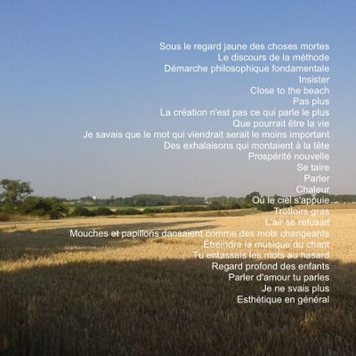 sous le regard jaune des choses