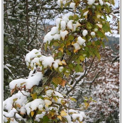 Jour de Neige