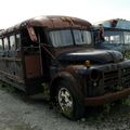 Dodge B school bus-1950