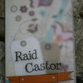 Raid Castor 2012