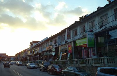 Cameron Highlands - Malaisie - 12 mars 2014