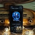 Runborn - tome 1 - Tyr - Ariel Holzl