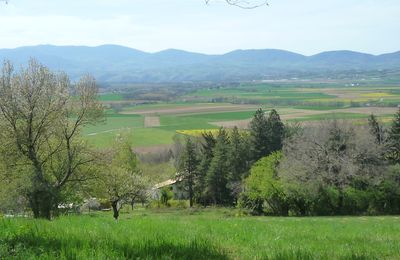 IMAGES DU PRINTEMPS...