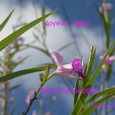 Décembre 2015 et Janvier 2016