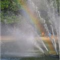 Arc en Ciel au Palais Royal