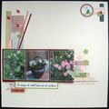 Page Jardin - Challende juin de F-Rose