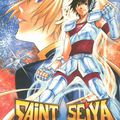 Saint Seiya The Lost Canvas prochainement en DVD