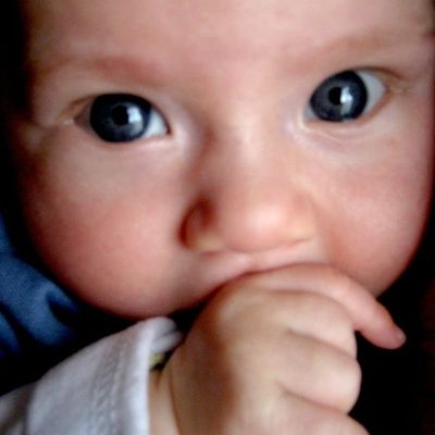 Une petite princesse Mandoline